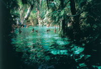 Mataranka is famous for its tropical thermal pool and nearby Elsey National Park in Northern Territory