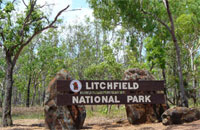 Visit our National Parks in your motorhome- drive through Litchfield National Park, Kakadu National Park, Elsey National Park, Nitmiluk National Park, Uluru Kata Tjuta National Park, Watarrka National Park.